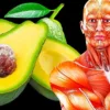 If You Eat an Avocado a Day For a Month, Here's What Will Happen to You